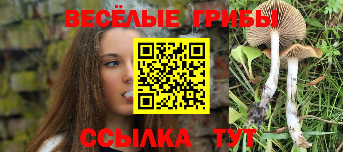 Сосновый Бор  Псилоцибиновые грибы ЛСД  Вход с VPN 